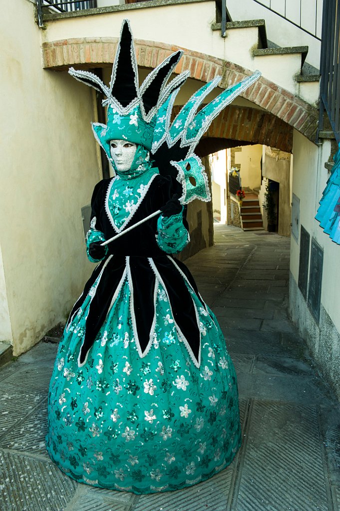 Carnevale Castiglion Fibocchi Febbraio (58).jpg